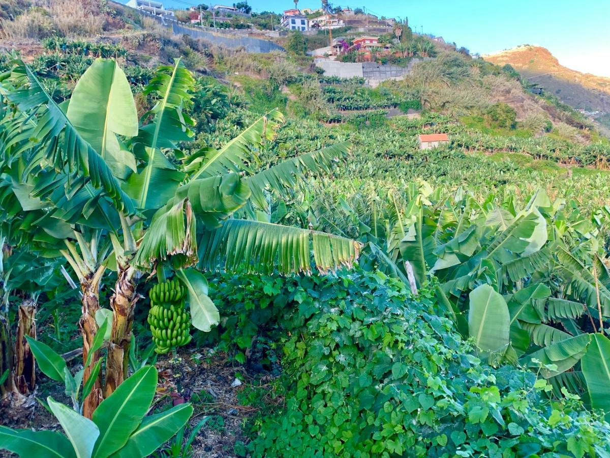Villa Felicidade Arco da Calheta  Eksteriør billede